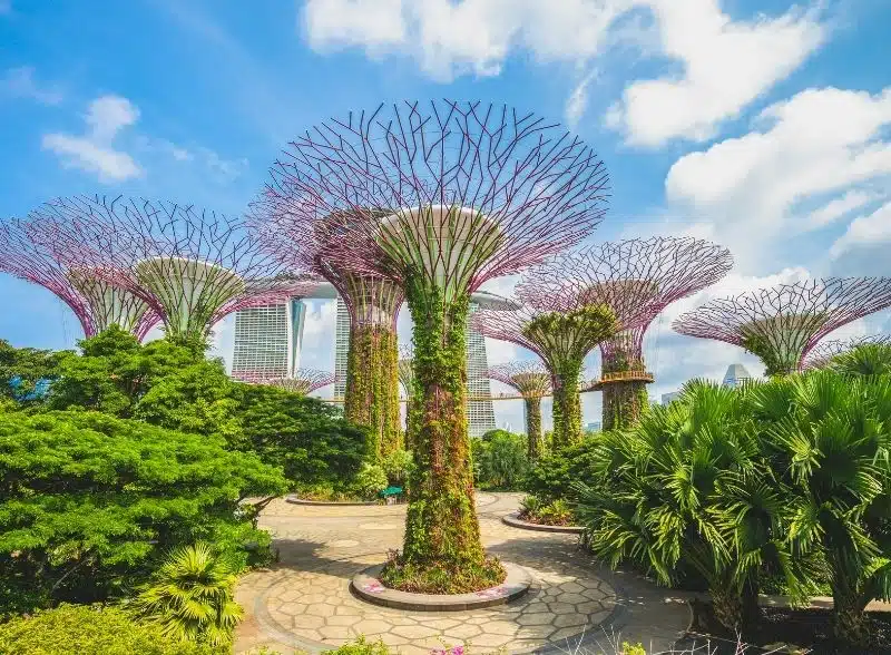 CPS - Gardens by the Bay